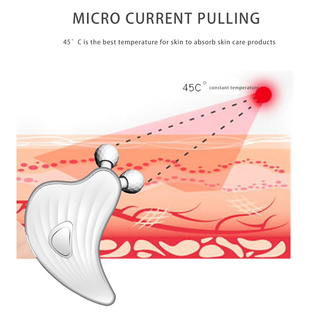 Microcurrents Electric Facial  - đánh giá và giá Microcurrent Face Massager Gua Sha