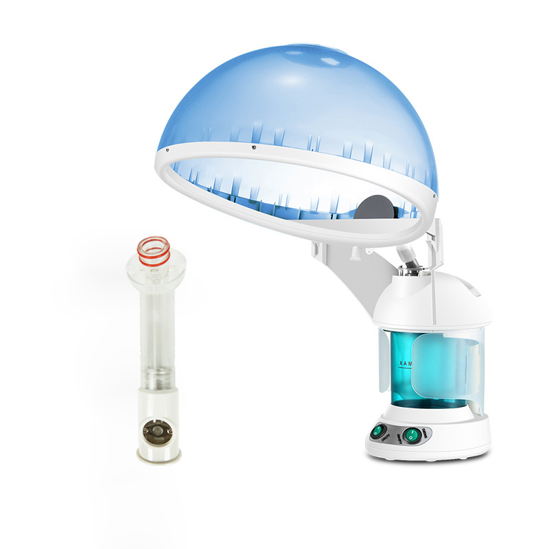 Beauty Salon Home Use Face Hai - đánh giá và giá Facial Steamer Nano Ionic Hot Mist
