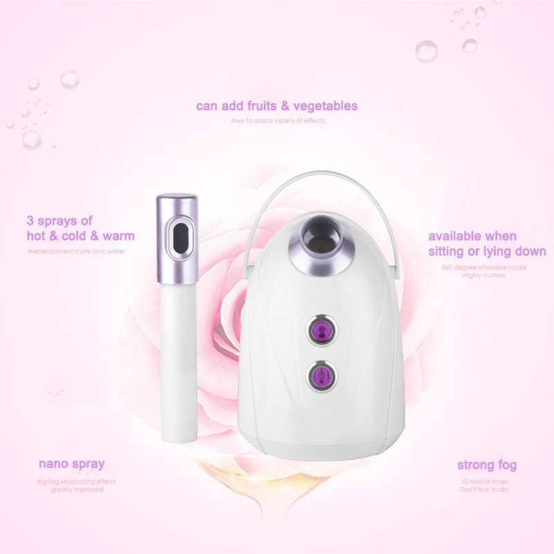 Home Salon Use Facial Steamer  - đánh giá và giá Facial Steamer Nano Ionic Hot Mist