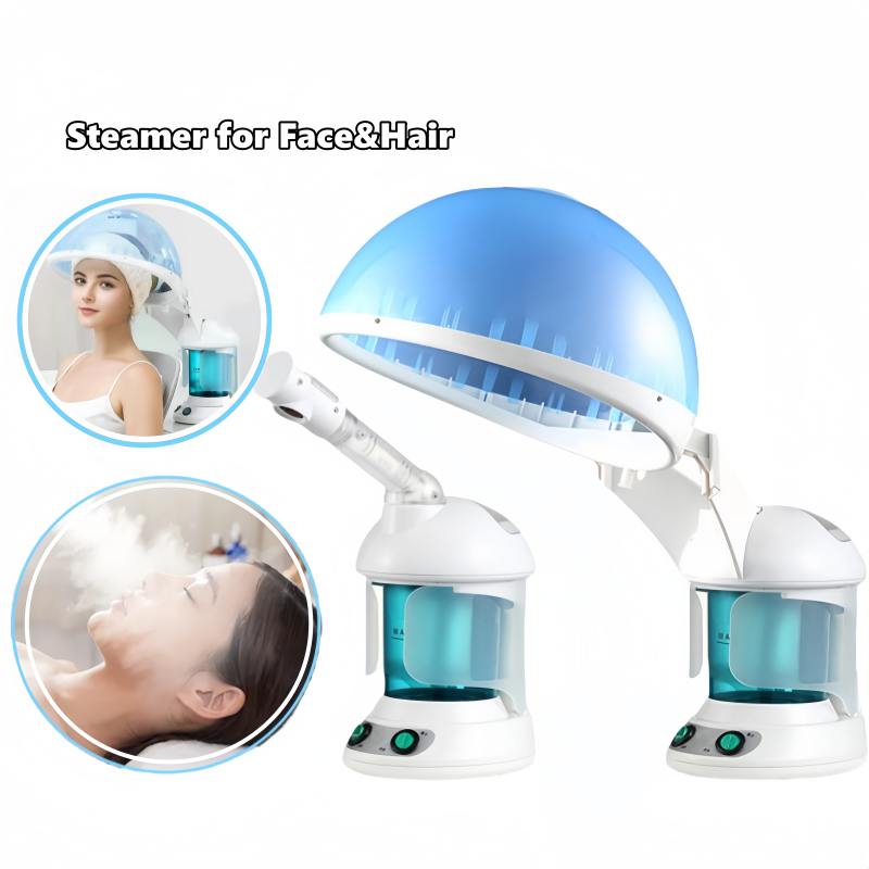 Household Electric Ionic Spa N - đánh giá và giá Facial Steamer Nano Ionic Hot Mist