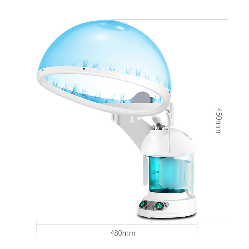 Household Electric Ionic Spa N - đánh giá và giá Facial Steamer Nano Ionic Hot Mist