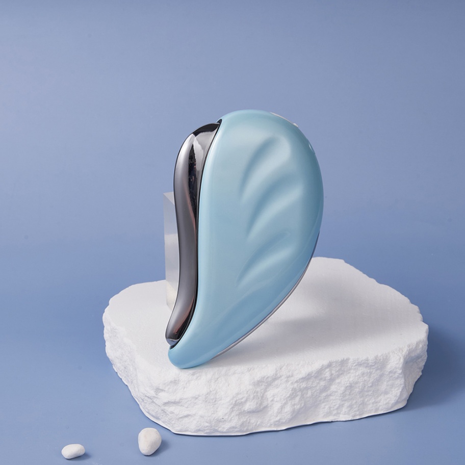 EMS Microcurrent LED Face Mass - đánh giá và giá Microcurrent Face Massager Gua Sha