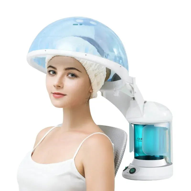 Professional SkinCare Hot Hair - đánh giá và giá Facial Steamer Nano Ionic Hot Mist
